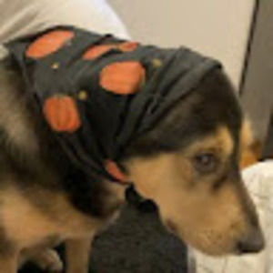 Meet your Posher, Anevay